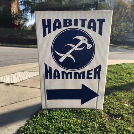 Habitat Hammer 2016 004